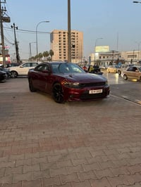 تشارجر SXT • ٢٠٢٠ • كشنات جلد