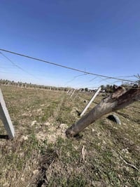 سيم قمريه اله البيع الستفسار 07748103798