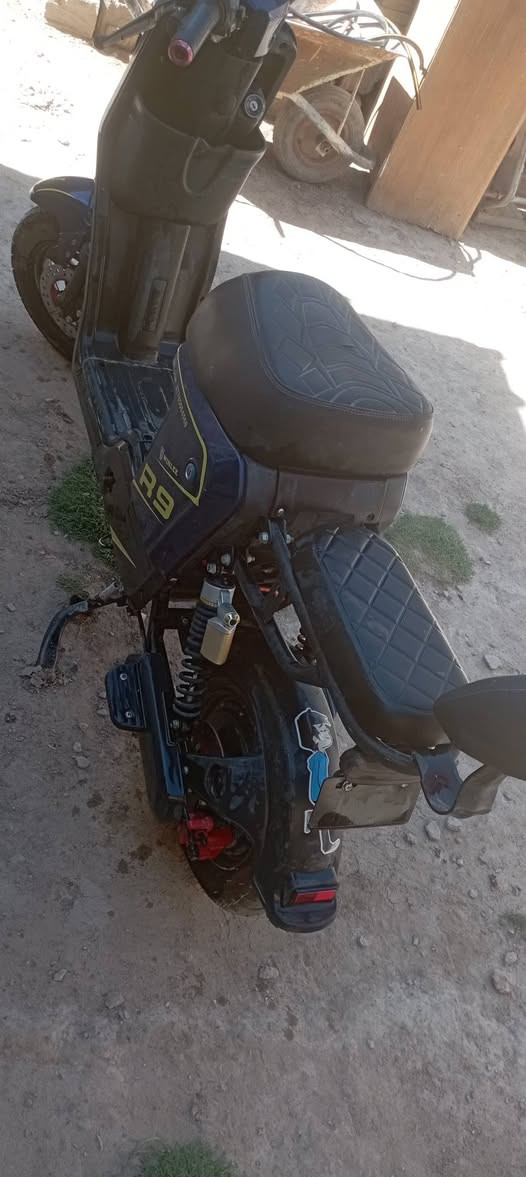 للبيع كلها شغالة وعلى الفحص السعر ٣٠٠ بيها مجال قليل


**إذا كنت صاحب هذا الإعلان وتريد حذفه لأي سبب، رجاءا أرسل رسالة إلى الدعم الفني**