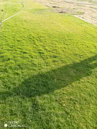 مزارع  الشمال للثيل الطبيعي 🍀 متوفر كافة انواع الثيل 🍀 ( امريكي - الهن...