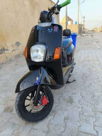 دراجة بوليس • ٥٥ سي سي • فاو الشماليّة