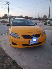 كورلا • ٢٠١٠ • كركوك