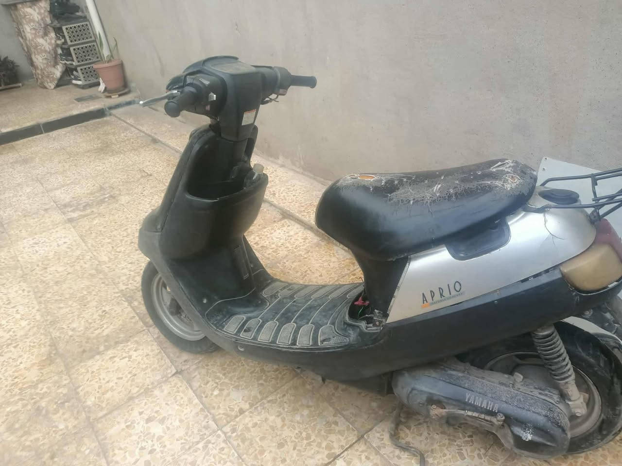 السعر 130 الشراي يجيني خاص


**إذا كنت صاحب هذا الإعلان وتريد حذفه لأي سبب، رجاءا أرسل رسالة إلى الدعم الفني**