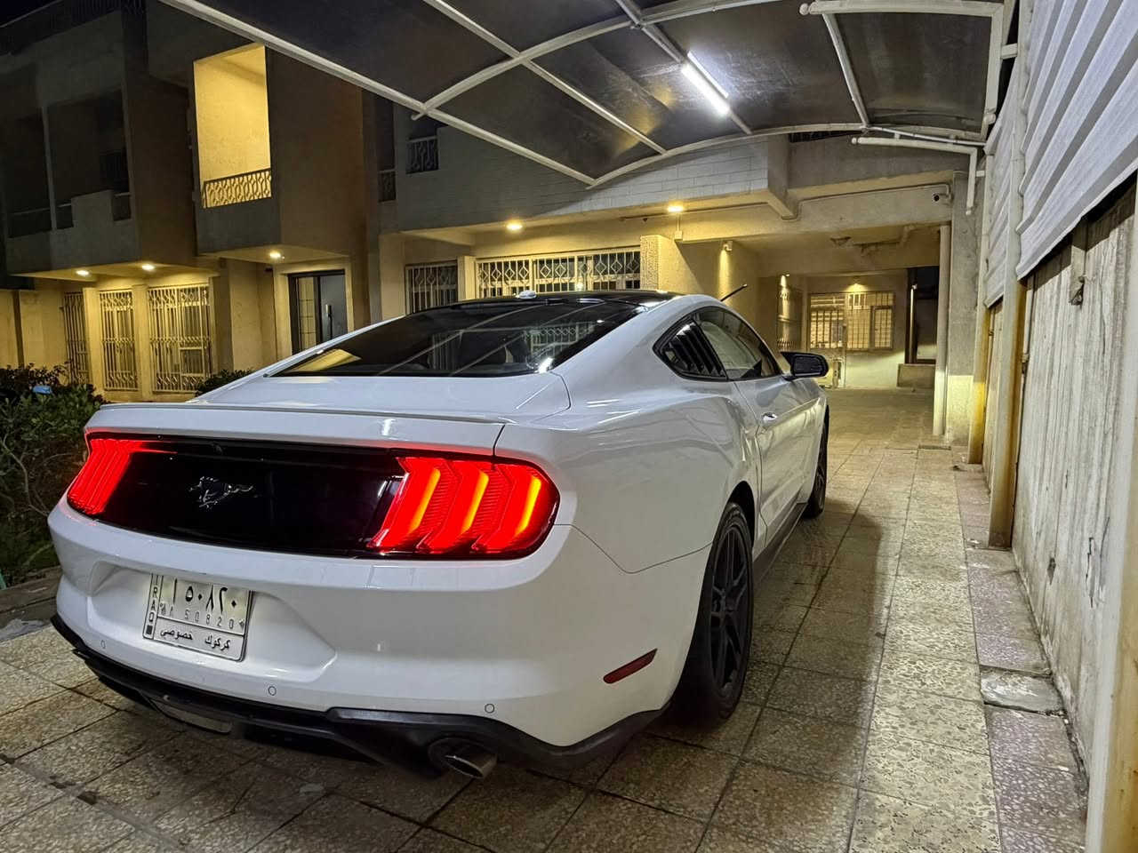 ‎**المواصفات :** بيع او مراوس ب gt حتلو موديل قديم بس اهم شي نضيفة
‎- **الموديل:** 2018

‎- **المحرك:** 2.3 لتر EcoBoost تيربو 4 سلندر

‎- **القوة:** 310 حصان

‎- **ناقل الحركة:** أوتوماتيك 10 سرعات

‎- **الدفع:** خلفي (RWD)

‎**المواصفات الخارجية:**

‎- اللون: أبيض 

‎- جنوط سوداء رياضية

‎- كشافات LED

‎- فتحات تهوية على الكبوت

‎- سبويلر خلفي

‎- حالة الهيكل: ممتازة

‎الضرر : تبديل بنيد 

‎تبديل جامرلغ امامي جهة السايق

‎بخ امريكا ربع جامرلغ خلفي جهة السكن فقط

‎ايرباك استيرن طاك مرجع سستم

‎**المميزات الداخلية:**

‎- مقاعد رياضية مريحة

‎- نظام ترفيه SYNC 3 مع شاشة لمس

‎- تكييف أوتوماتيك

‎- مقود رياضي متعدد الوظائف

‎- نظام صوتي عالي الجودة

- Apple CarPlay و Android Auto

‎- **🐎 علامة الحصان الأصلية عند فتح الأبواب**

‎**الأمان والتقنية:**

‎- وسائد هوائية متعددة

‎- نظام الثبات الإلكتروني

‎- مثبت سرعة

‎- كاميرا خلفية

‎- حساسات ركن

‎**✨ مميزات خاصة:**

‎- **ماكو هيجي نظافة بالعراق بهذا الموديل**

‎- **سيارة ما رايحة للفيتر - كلها بلادي**

‎- **صيانة منتظمة ودقيقة**

‎- **كير ومحرك مكفولين 100%**

‎- **ما ناقصها أي شي - جاهزة للاستخدام**

‎- **بدون حوادث - حالة ممتازة**

‎**الكيلومترات:** [67 Mile]

‎

مكان السيارة: بغداد المنصور

للاستفسار/ ***********

‎**🔥 فرصة لا تعوض - سيارة نظيفة وجاهزة**

‎بالتوفيق! 🚗✨
