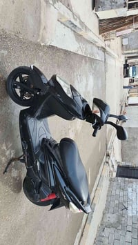 موتور • سكنس • فحل