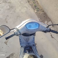 ماكس منغولي • مكفوله عام • جلبيه