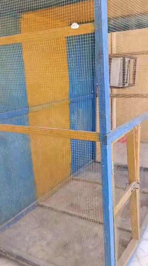 سلام عليكم متاح قفص للبيع تفاصيل الاتصال على الرقم *********** موقع الخالص الخويلص
