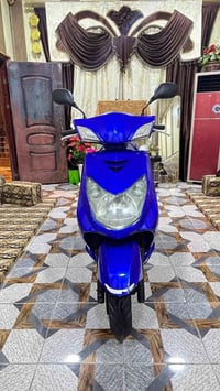 سكنس فحل • ياباني • كفالة