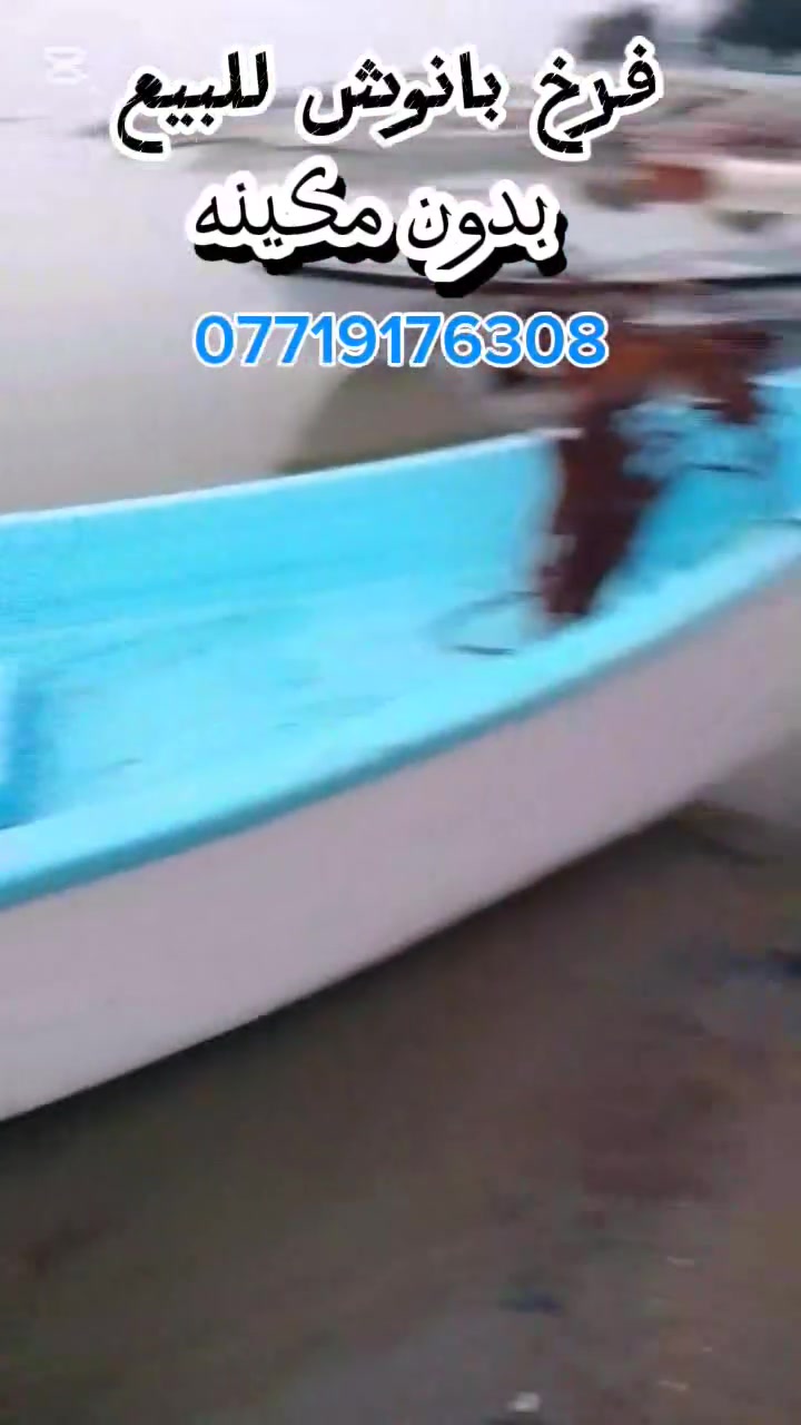 للبيع


**إذا كنت صاحب هذا الإعلان وتريد حذفه لأي سبب، رجاءا أرسل رسالة إلى الدعم الفني**