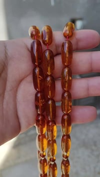 كهرب روسي • صنوبريه • ٥٠غ