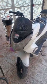هوندا PCX • PCX 150cc • دراجة PCX • دراجة سكوتر • سكوتر للبيع • دراجة ...
