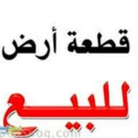 طابو صرف • ١٥٠م • الماجدية