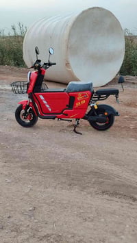 دراجة شحن R9 • موديل 2026 • واسط/الصويرة