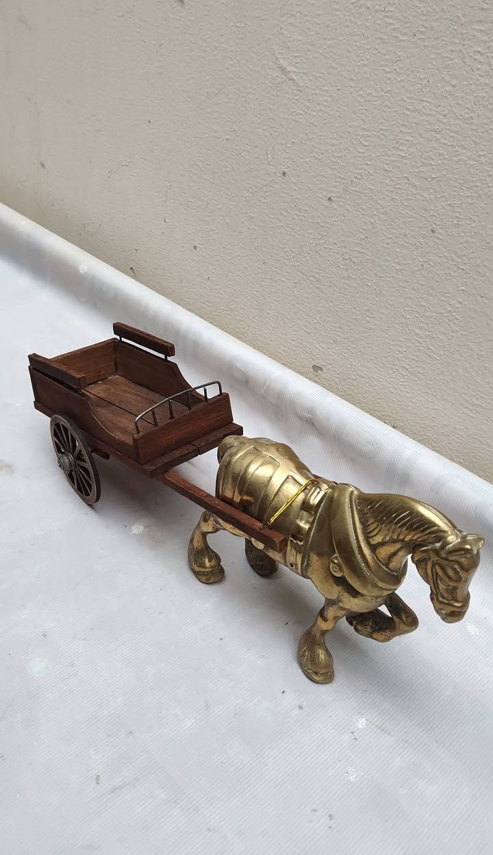 بسمك اللهم
متوفر ... للحجز والاستفسار على الخاص وتدللون 💐


**إذا كنت صاحب هذا الإعلان وتريد حذفه لأي سبب، رجاءا أرسل رسالة إلى الدعم الفني**