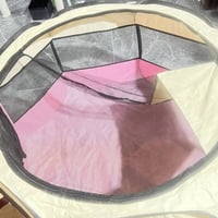 اغراض حيوانات • قطط • طيور