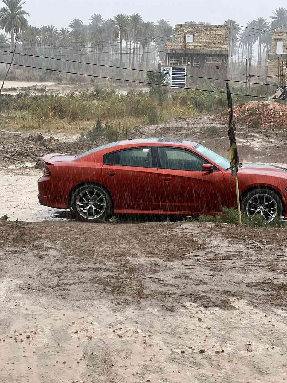 سلام عليكم 
GT 3600 لون مميز 
هارلم  خليجي فول مواصفات 
كفاله عامه 
موديل 2021 
السعر 285 
الديوانيه 
الاستفسار الاتصال على  ***********
اتصال او واتساب
