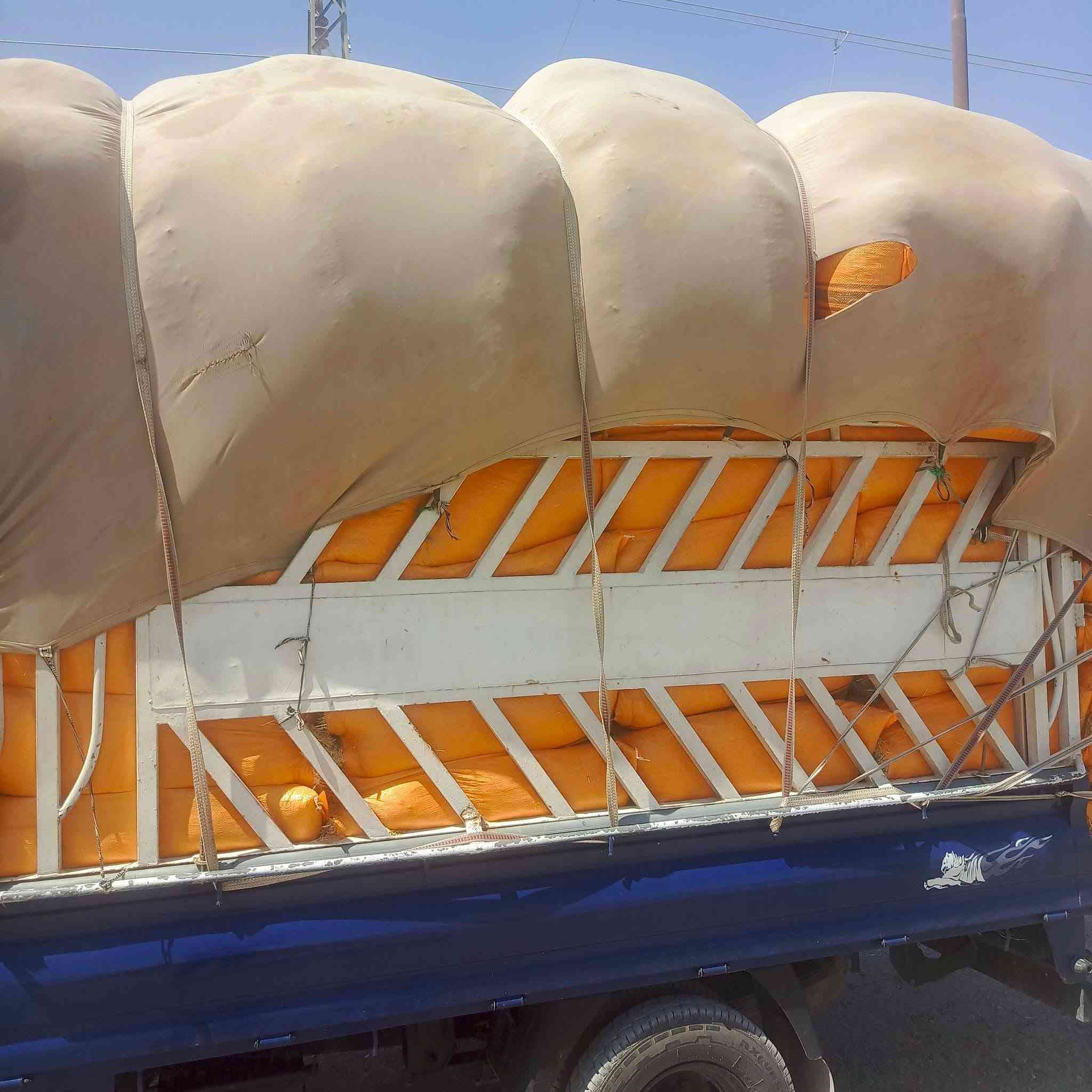 السلام عليكم يوجد لدينا تبن مال السنه شليف ابو 60يوجد سعر الزوج بل البكان 2500يوجد توصيل الجميع محافظات رقم ‏‪ ***********
