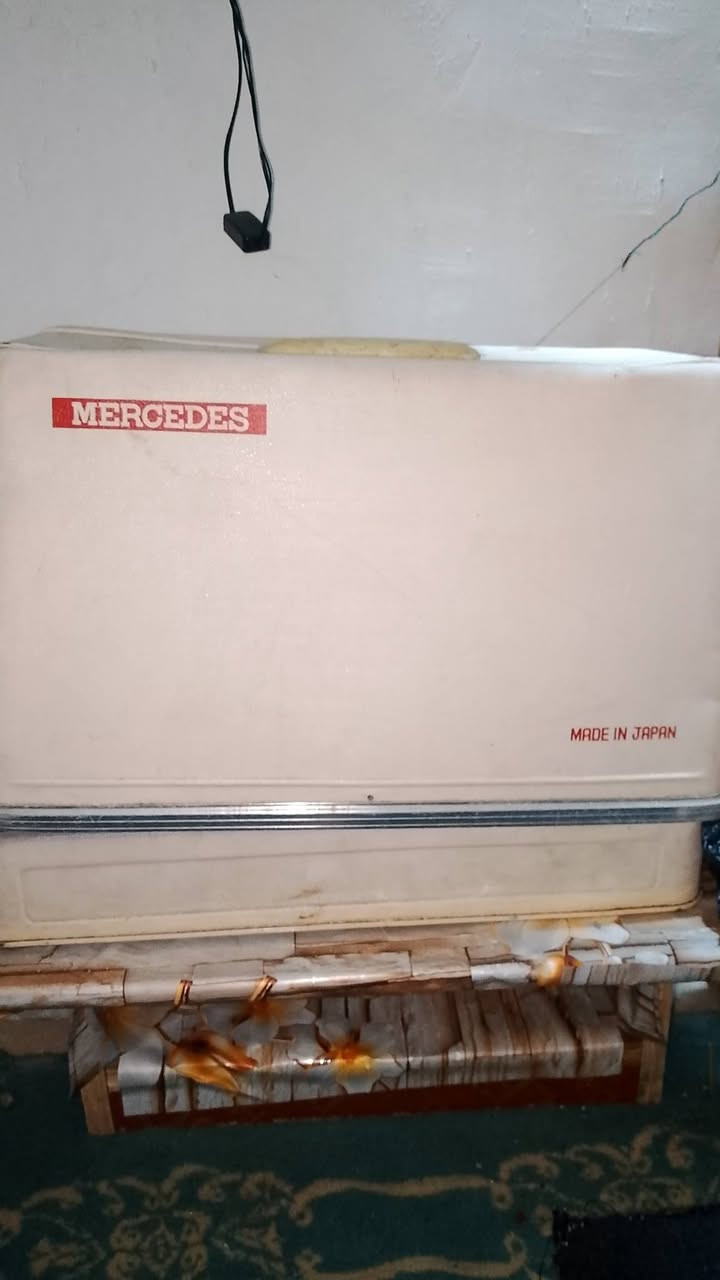 مكينه خياطه بلذر سعر 70 شرط خياطه درجه اوله


**إذا كنت صاحب هذا الإعلان وتريد حذفه لأي سبب، رجاءا أرسل رسالة إلى الدعم الفني**