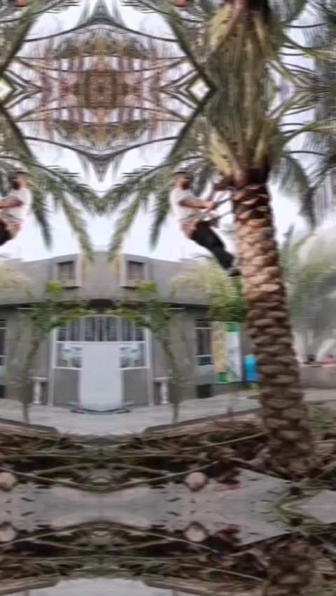 اي شخص يحتاج تكريب وتنظيف النخيل يتصل ويدلل ***********
