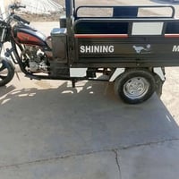 ستوته • شغاله • نضيفه