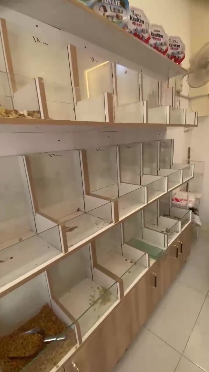 ***********
يوجد توصيل لكافه محافضات العراق
