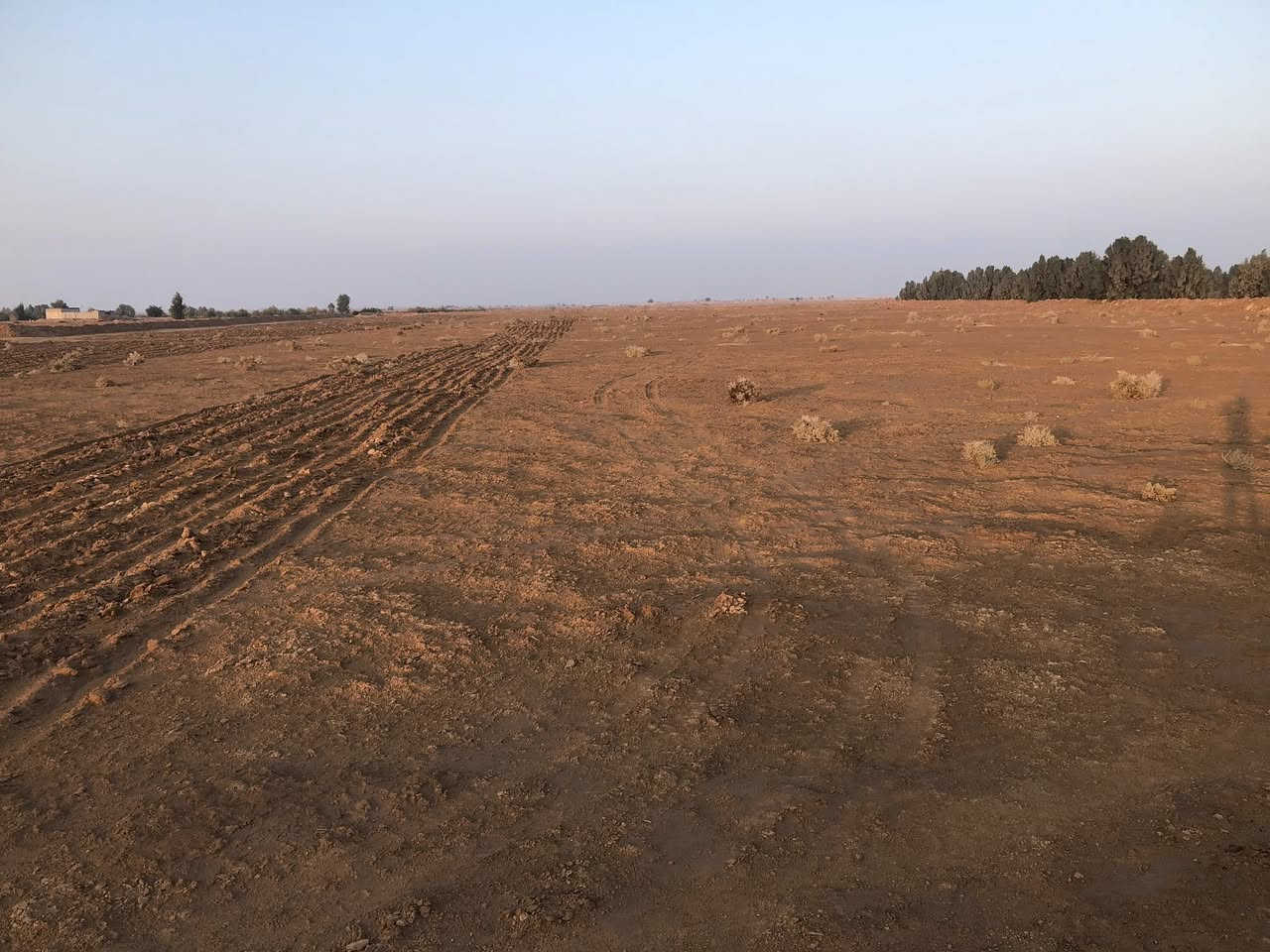 السلام عليكم 
ارض زراعية للبيع ١٥دونم فارغة ما بيه بير باسمي بداية طريق معمل كار جهةٍ اليسار تبعد عن الشارع ١كيلو السعر ١٥ مليون قفل للاستفسار الاتصال على الرقم 
***********
يتوفر واتساب
