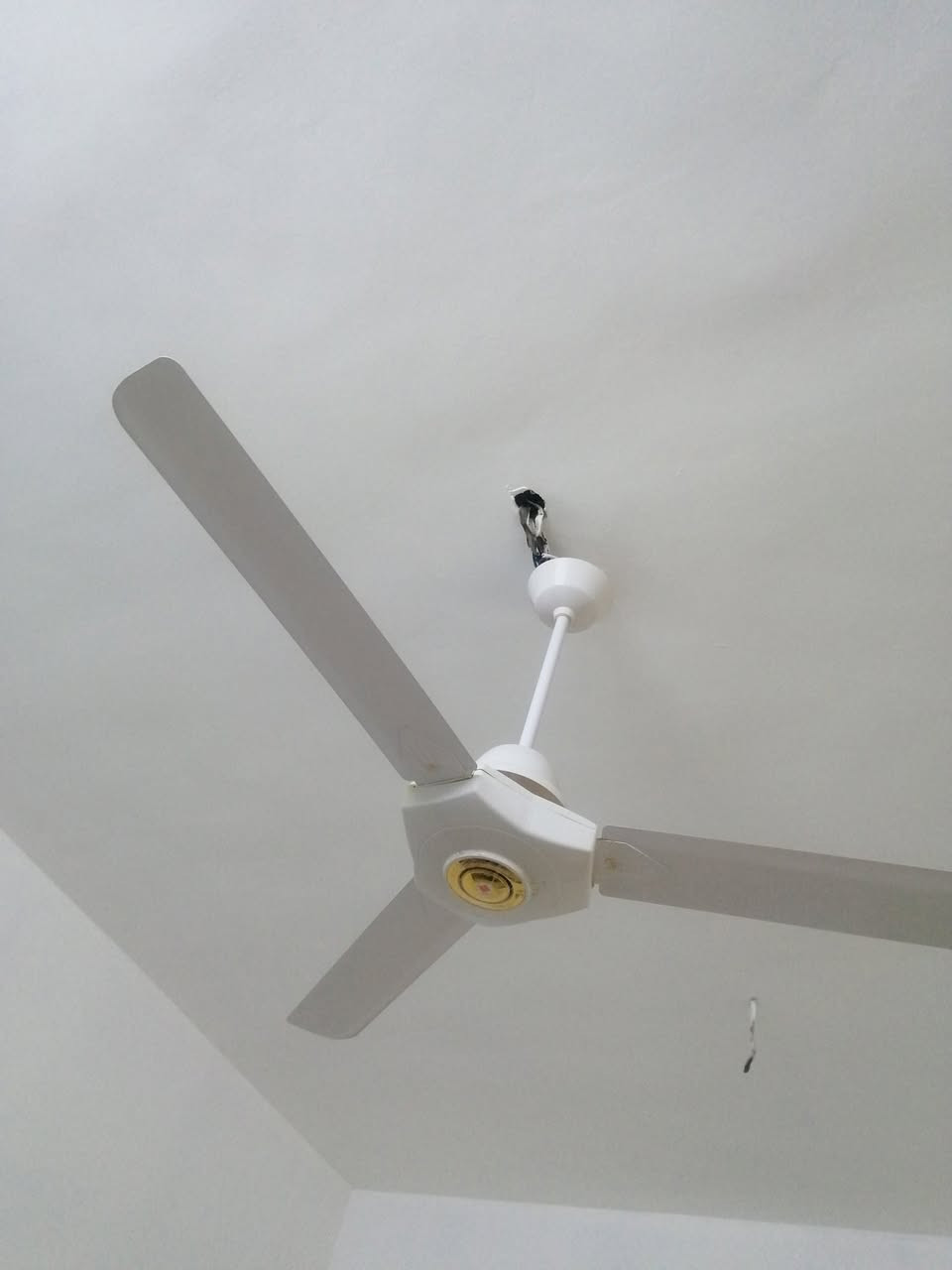 ابيعهن شلع 100الف قفل(صحن +ستلايت+بنكة + راوتر تيبلينك+ وعاكسة انترنت+ساعات اثنين) غراض بيتي اذا شراي كلهن تعال خاص


**إذا كنت صاحب هذا الإعلان وتريد حذفه لأي سبب، رجاءا أرسل رسالة إلى الدعم الفني**