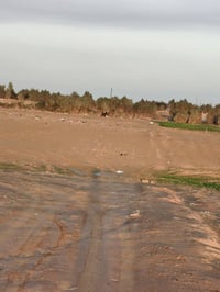 جزيرة بعاجة • أرض زراعية • بئر ٦٥م