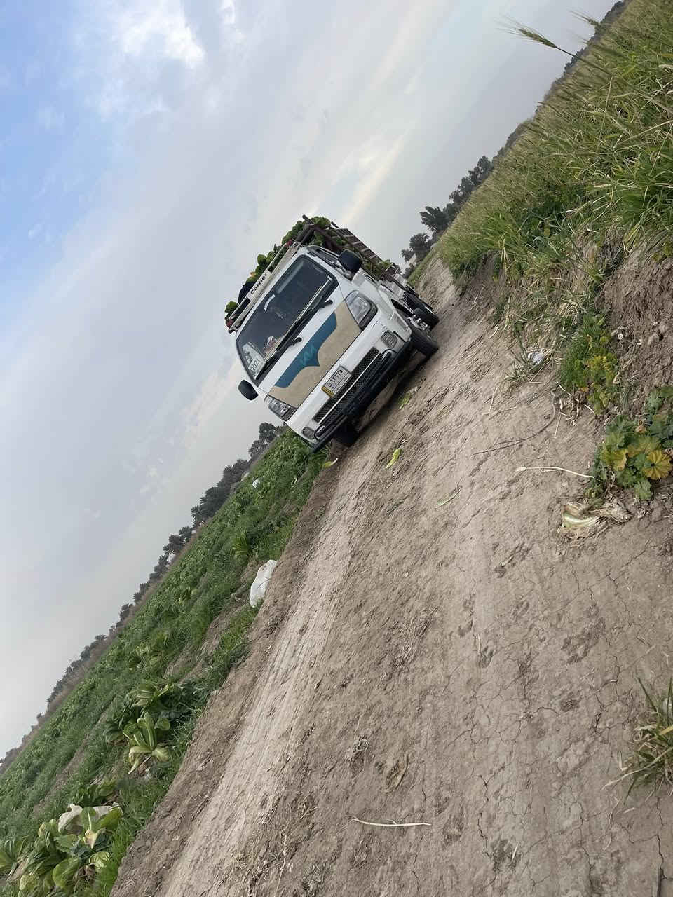 كيه فحل لبيع موديل 21 سياره جهازه من كلشي سياره بيه صبغ ع كد شبر جوه ماسحه ولباقي كفاله تخم تاير لاسه محرك لاتنقيص ولا تبخير سياره خير من الله سعر 160 بيه مجال 
رقم *********** مكان سياره بابل جبله
