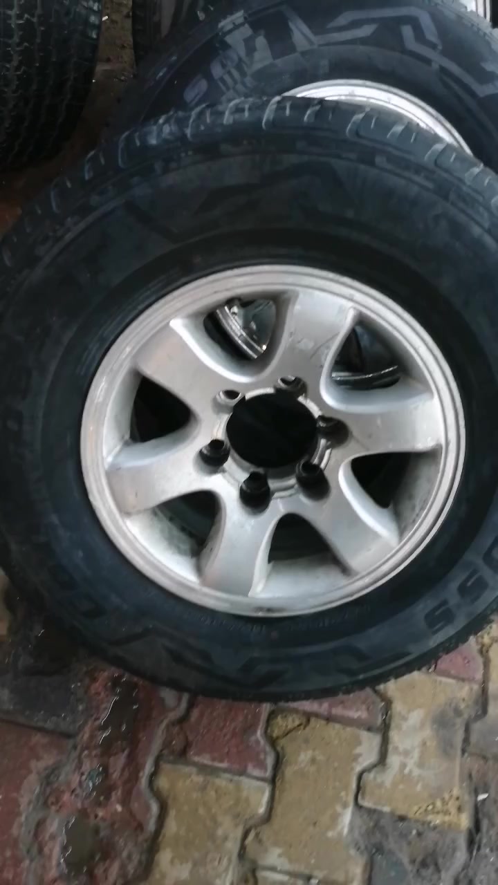 تخم ويل حجم ١٥ للبيع السعر ٣٠٠ مكاني العماره ***********
