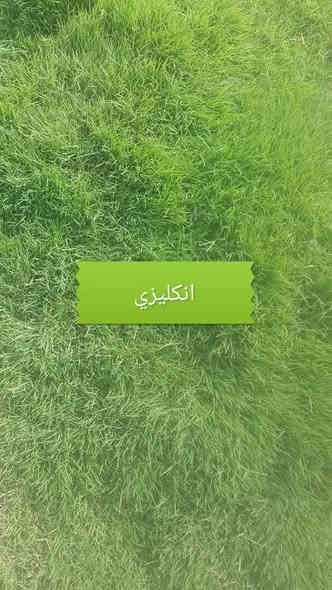 زبائننا الكرام اسعار تنافسيه سارع عله الحجز ابو الكميات سارع عله الحجز
متوفر كافة انواع الثيل الطبيعي 
الثيل الامريكي🌿الثيل الهندي🌿الثيل الايطالي 🌿الثيل الفرنسي
مع كادر مختص يجيك لباب بيتك
بسعر مناسب وكفاءة عالية
نجهز كل انواع الحدائق
والملاعب والمتنزهات 💚
الاسعار تختلف بختلاف النوع
ثيلنة الافضل 
وتوصيلنة الاسرع 🚙🚚
للطلب او الاستفسار التواصل مع الصفحة او الاتصال على الرقم التالي
***********     واتساب
***********
