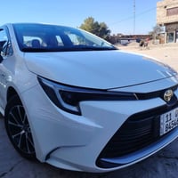 كورلا ٢٠٢٤ • مكفوله • بابل الإسكندرية