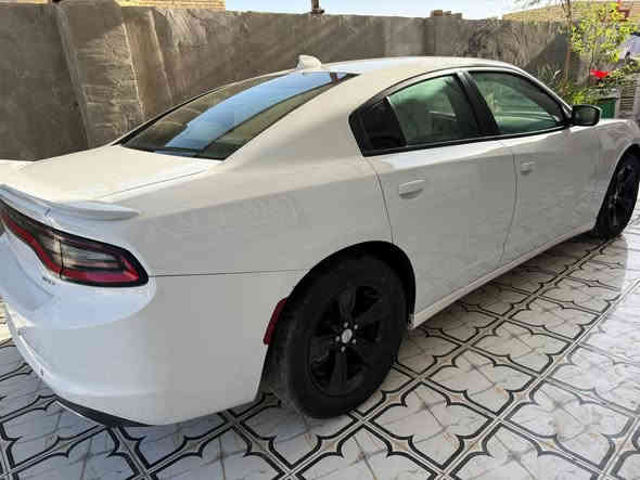 للبيع السعر 175 اتصل *********** معلايه 16)(22  المكان الجبايش ذي قار
