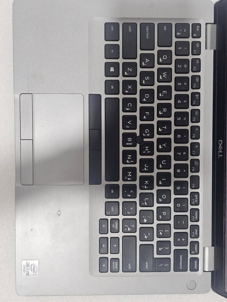 🔥 DELL LATITUDE 5410 | قوة الأداء ولمسة الإبداع 🔥
للمحترفين، المبرمجين، والطلاب.. جهاز واحد يجمع بين قوة المعالج وسلاسة اللمس.
📺 الشاشة واللمس
14" Full HD Touch: شاشة مقاس 14 بوصة بدقة عالية تدعم اللمس بالكامل لتجربة تفاعلية سريعة وسهلة.
🚀 المعالج والسرعة
Core i7-10th Gen: معالج إنتل كور i7 من الجيل العاشر، جاهز للتعامل مع أثقل البرامج والمهام المتعددة.
⚡ الذاكرة الخارقة
24GB RAM: ذاكرة عشوائية ضخمة (رام) تضمن لك سلاسة تامة، سرعة في التنقل بين التطبيقات، وعدم حدوث أي تأخير (Lag).
🎮 الجرافيك والرسوميات
12GB Intel Graphics: كرت شاشة داخلي (مدمج) يشارك الذاكرة ليصل إلى 12 جيجابايت، مما يوفر أداءً جيداً للتصميم الأساسي وتطبيقات الجرافيك اليومية.
💾 التخزين السريع
256GB SSD: وحدة تخزين بالحالة الصلبة (SSD) لسرعة إقلاع النظام، فتح الملفات، ونقل البيانات في ثوانٍ.
🔋 الطاقة والبطارية
Long-Lasting Battery: بطارية موثوقة ومضمونة للعمل لمدة ساعتين على الأقل كحد أدنى (حسب نوع الاستخدام).
⌨️ الإضاءة والراحة
Backlit Keyboard: لوحة مفاتيح مضيئة تتيح لك العمل والطباعة بوضوح في الأماكن المظلمة أو خافتة الإضاءة.
🔧 المنافذ والتوصيل
Full Ports: مجهز بجميع المنافذ الضرورية (USB-C, HDMI, USB 3.1) لتوصيل ملحقاتك بسهولة ودون الحاجة لمتحولات.
🌐 للتواصل والحجز: 🔴 للمراسلة مباشرة عبر رسائل الصفحة. 🟢 أو التواصل عبر الواتساب: ***********
