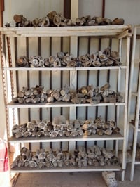 سلف وداينمو  لسيارات الكورية والأمريكية  كلهن مال حاوية العدد 300 قطعة...