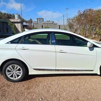 سوناتا • وارد امريكي • مكفولة