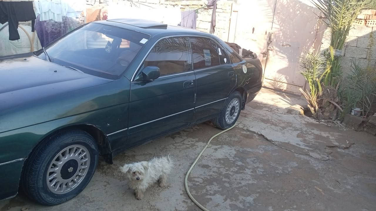 بطه مكفوله للبيع سياره مرشوشه بس جماليه سعر 50 وبيها مجال ***********
