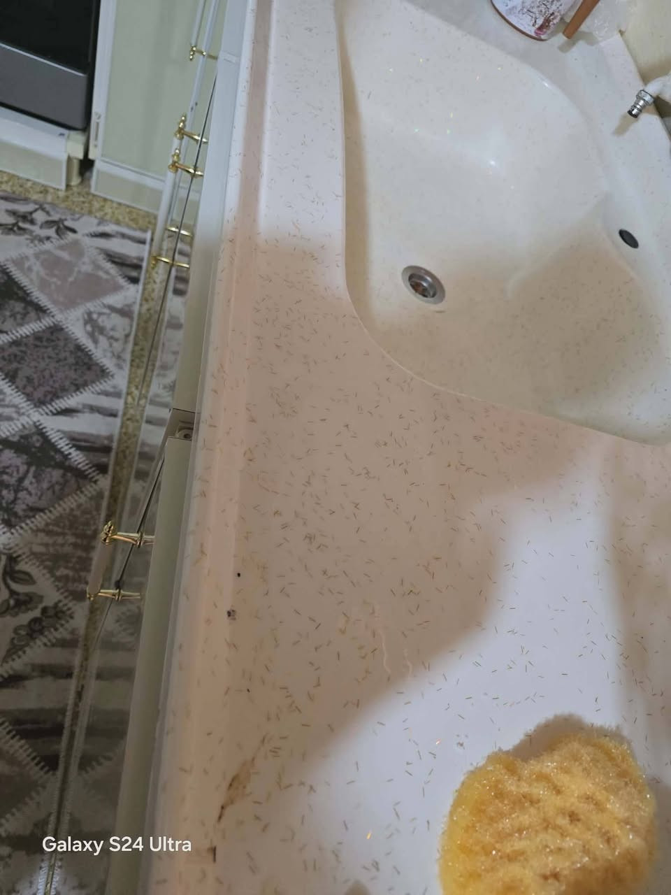 كاونتر نضافه فول


**إذا كنت صاحب هذا الإعلان وتريد حذفه لأي سبب، رجاءا أرسل رسالة إلى الدعم الفني**