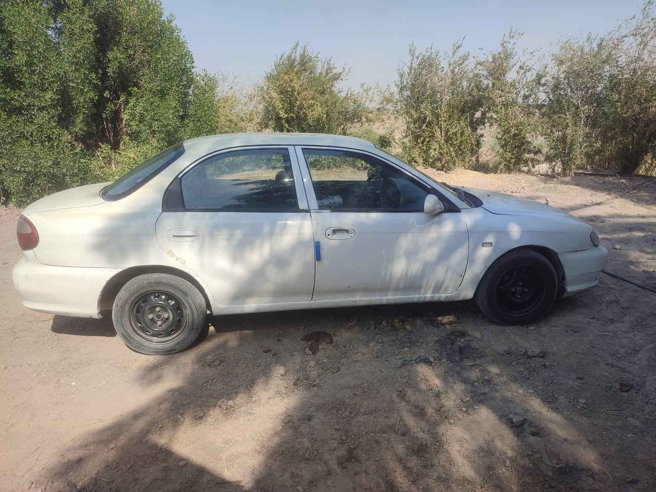 كيا سيفيا للبيع موديل 2000رقم بغداد دولي بأسمي كير اوتوماتيك تبريد تدفئه شغال تخم تاير جديد حداديه كله جديد سنويه ل 2029 محرك مسكر اخوان سياره فاتح مكينته تريد كور ورنكات سعر 31 قفل رقمي *********** بيع مستعجل واتساب مفتوح مكاني ديوانيه غماس
