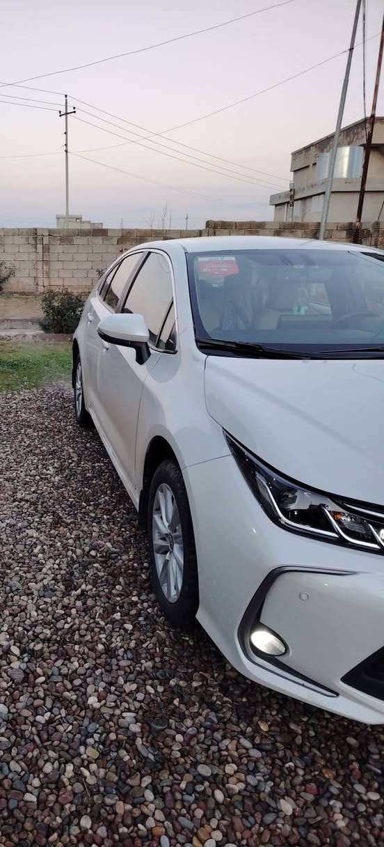 للبيع فقط بدون مراوس او قسط
كورلا خليجي بانزين موديل 2023

شركة ساز بصمه بلا فتحه 

رقم اربيل بأسمي 

سنوية وهزه وفحص جديد 

محرك 18 وكير شرط كفاله عامه من جميع النواحي بدون ضرر كلين 

ماشيه 51 الف فقط حقيقي 

سياره جديده ماتصرف عليها كل شي 

رقم الهاتف ***********

العنوان موصل قياره قرية المرير
السعر 180 وبيها مجال
