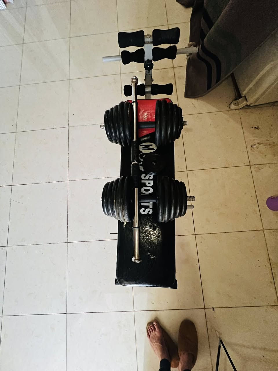 سلام ع جميع
عندي جهاز مستقلي وبصير صدر علوي +سفلي
ودامبل وزن10k + عقلة 
موجودين هفلان لنكة جديدة لتواصل 
***********
