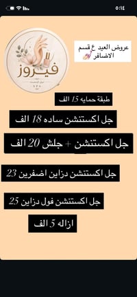 فيروزه سبا • عروض • العامريه شارع العسل