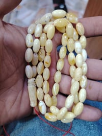 كهرب بولوني حر طبيعي  الوزن 24 غرم واتساب 07809337037