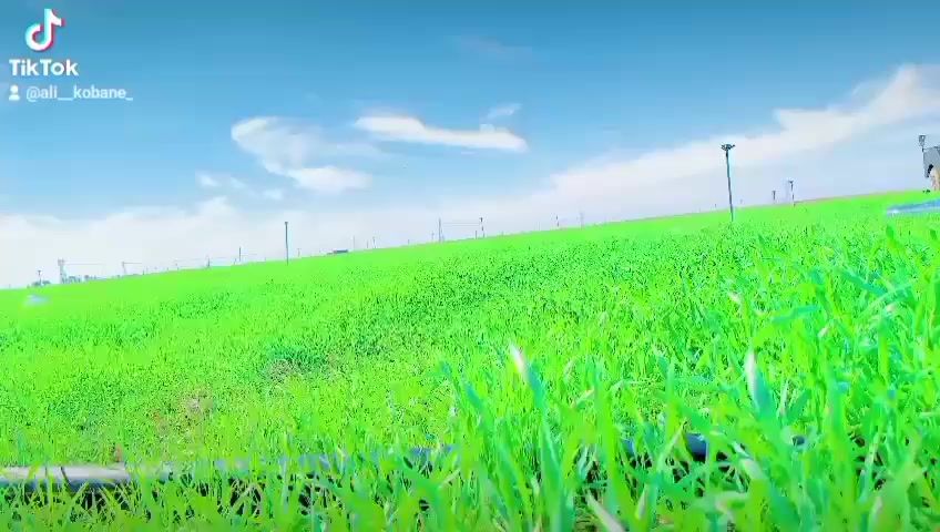 حفارت علوش ابو مصطفى سوري ***********
