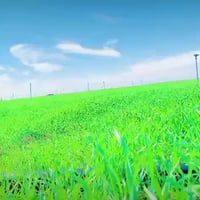 حفارت علوش ابو مصطفى سوري 07804622033