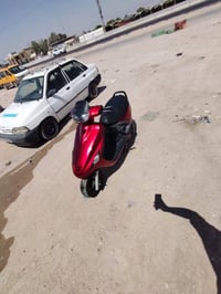 فراشه • فحل • نجف