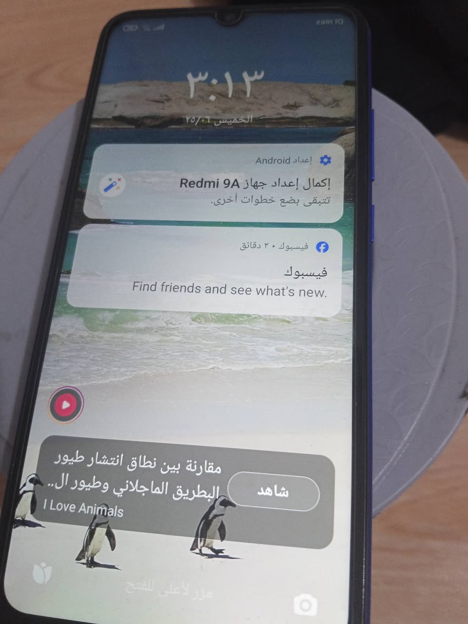 جهاز  نضيف السعر 70


**إذا كنت صاحب هذا الإعلان وتريد حذفه لأي سبب، رجاءا أرسل رسالة إلى الدعم الفني**