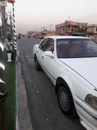 كرستا • مكفوله • رقم بصره