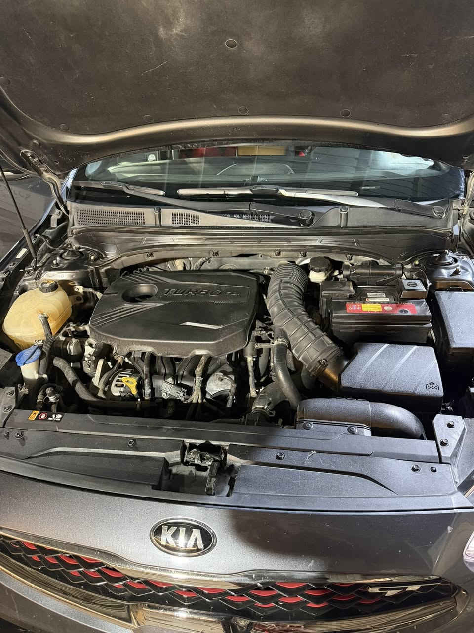 السلام عليكم كيا فورتي موديل 2020 جيتي لاين فول مواصفات أمريكي السياره حادثها جاملغ خلفي مصلح السياره جاهزه مجهزه تبريد ثلج تدفئه كلها مكفوله السياره رقم أربيل باسمي تحويل ثاني يوم السعر ١٢٧ و بيها مجال 
***********
