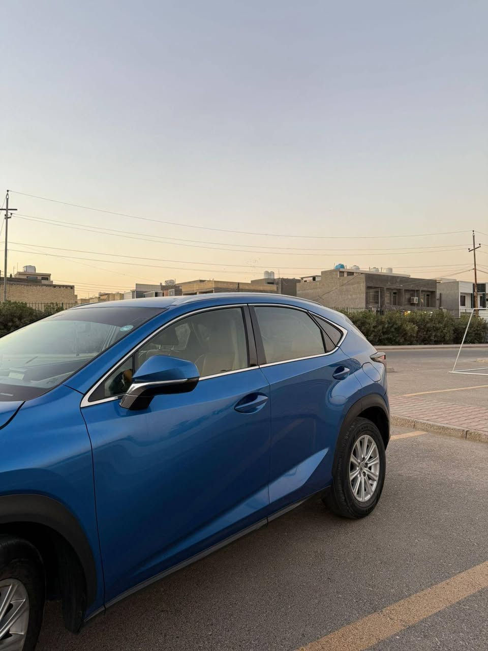 مراوس فقط
***********
